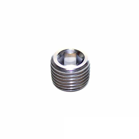 STAINLESS STEEL PLUG 1/2
