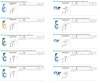 GERMAN BLOW GUN DISPLAY 25x065