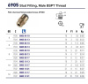 MALE 1/8"BSPT FDA NICKEL PLATE